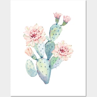 The Prettiest Cactus Posters and Art